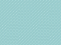 Bias03.gif