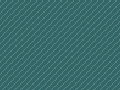Bias01.gif