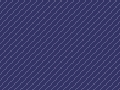 Bias08.gif