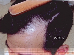 f001.jpg